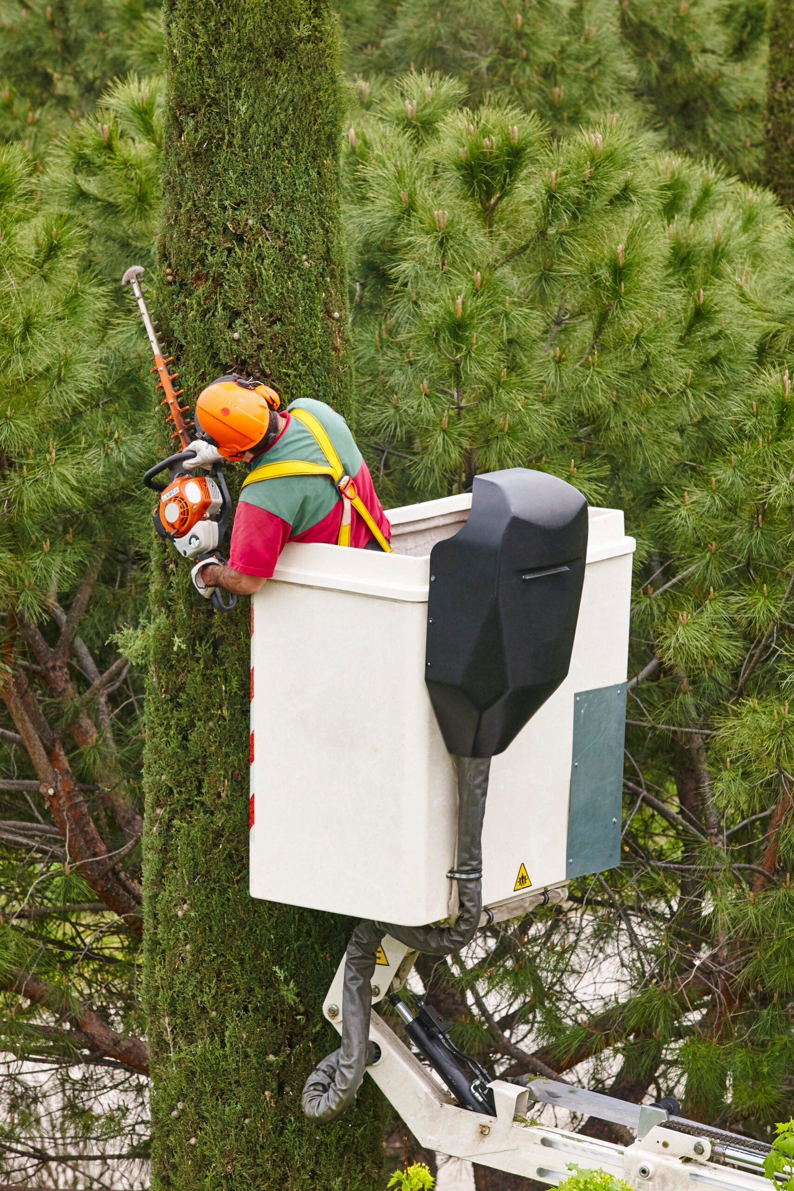 Equipped worker pruning a tree on a crane. Gardening works