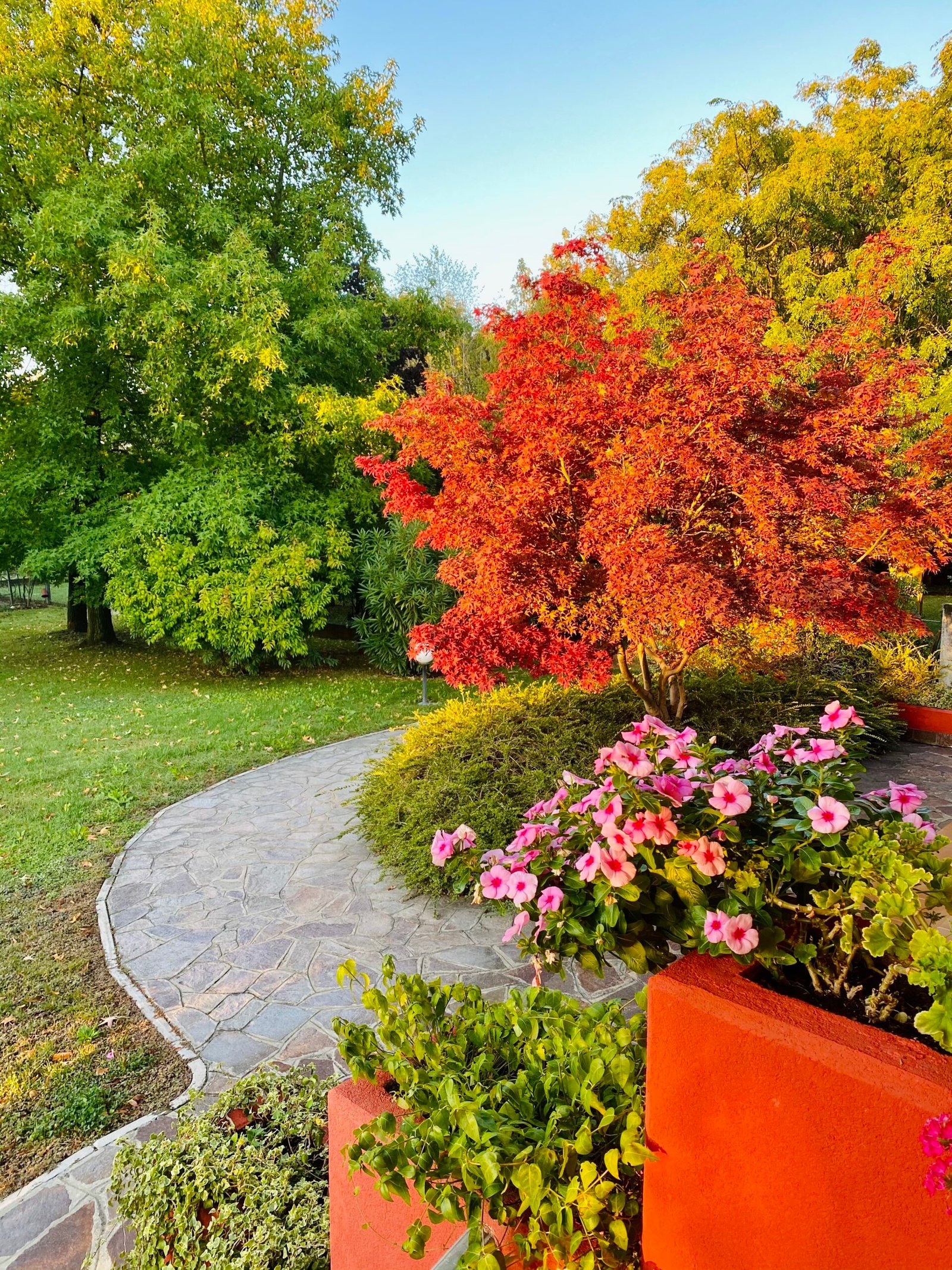 warm-autumn-colours-early-morning-in-italy-2024-12-05-10-26-44-utc